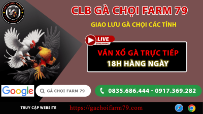 Cặp :4 Ngày 29-11-2025